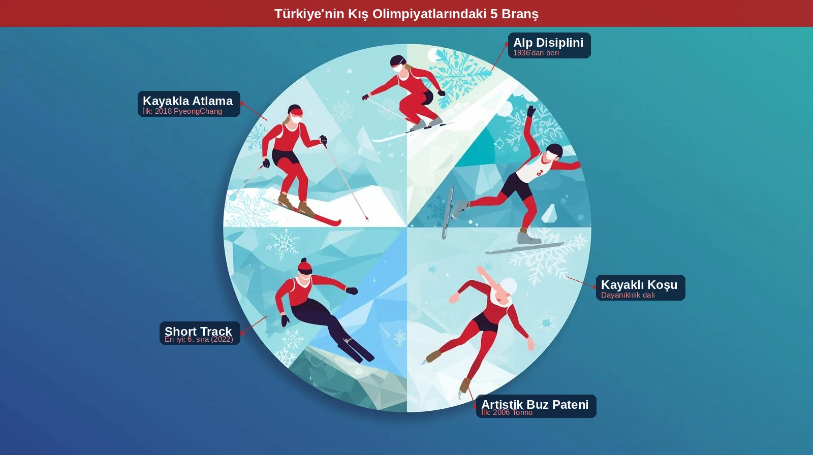 Türkiye'nin kış olimpiyatlarında yarıştığı beş branşı gösteren dairesel infografik